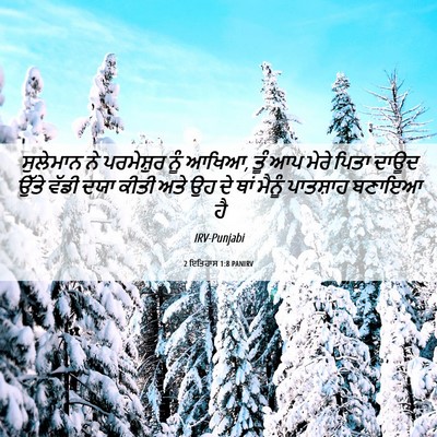 Picture 06 - 2 ਇਤਿਹਾਸ 1:8 PANIRV - ਸੁਲੇਮਾਨ ਨੇ - Bible Verse Picture