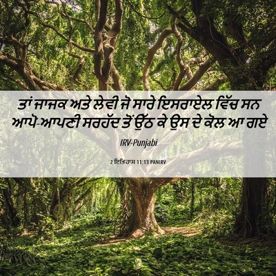 Picture 06 - 2 ਇਤਿਹਾਸ 11:13 PANIRV - ਤਾਂ ਜਾਜਕ ਅਤੇ ਲੇਵੀ - Bible Verse Picture