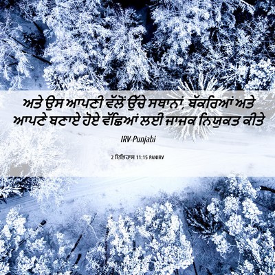 Picture 06 - 2 ਇਤਿਹਾਸ 11:15 PANIRV - ਅਤੇ ਉਸ ਆਪਣੀ ਵੱਲੋਂ - Bible Verse Picture