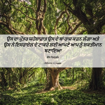 Picture 06 - 2 ਇਤਿਹਾਸ 17:1 PANIRV - ਉਸ ਦਾ ਪੁੱਤਰ - Bible Verse Picture
