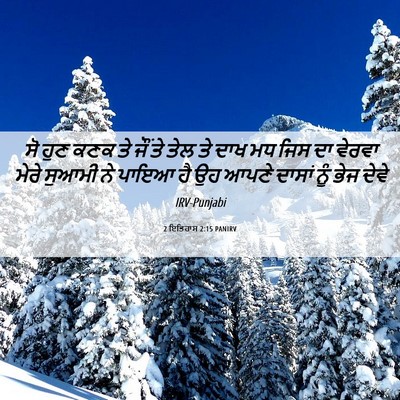 Picture 06 - 2 ਇਤਿਹਾਸ 2:15 PANIRV - ਸੋ ਹੁਣ ਕਣਕ ਤੇ ਜੌਂ - Bible Verse Picture