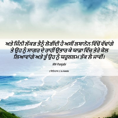 Picture 06 - 2 ਇਤਿਹਾਸ 2:16 PANIRV - ਅਤੇ ਜਿੰਨੀ ਲੱਕੜ - Bible Verse Picture