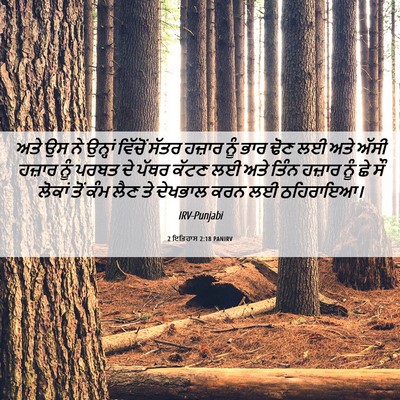 Picture 06 - 2 ਇਤਿਹਾਸ 2:18 PANIRV - ਅਤੇ ਉਸ ਨੇ ਉਨ੍ਹਾਂ - Bible Verse Picture