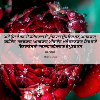 Picture 06 - 2 ਇਤਿਹਾਸ 21:2 PANIRV - ਅਤੇ ਉਸ ਦੇ ਭਰਾ ਜੋ - Bible Verse Picture