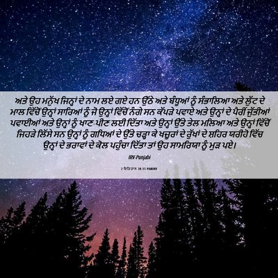 Picture 06 - 2 ਇਤਿਹਾਸ 28:15 PANIRV - ਅਤੇ ਉਹ ਮਨੁੱਖ - Bible Verse Picture