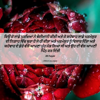 Picture 06 - 2 ਇਤਿਹਾਸ 29:6 PANIRV - ਕਿਉਂ ਜੋ ਸਾਡੇ - Bible Verse Picture