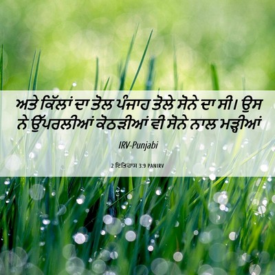 Picture 06 - 2 ਇਤਿਹਾਸ 3:9 PANIRV - ਅਤੇ ਕਿੱਲਾਂ ਦਾ ਤੋਲ - Bible Verse Picture