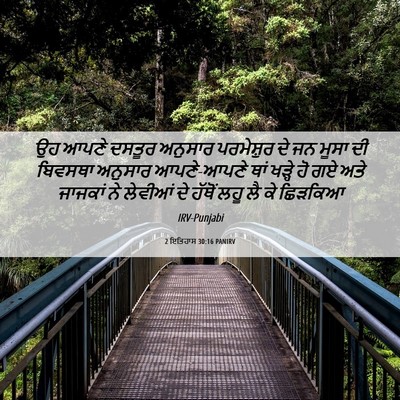 Picture 06 - 2 ਇਤਿਹਾਸ 30:16 PANIRV - ਉਹ ਆਪਣੇ ਦਸਤੂਰ - Bible Verse Picture