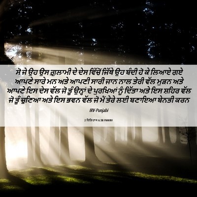 Picture 06 - 2 ਇਤਿਹਾਸ 6:38 PANIRV - ਸੋ ਜੇ ਉਹ ਉਸ ਗ਼ੁਲਾਮੀ - Bible Verse Picture