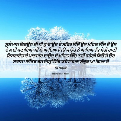 Picture 06 - 2 ਇਤਿਹਾਸ 8:11 PANIRV - ਸੁਲੇਮਾਨ ਫ਼ਿਰਊਨ ਦੀ - Bible Verse Picture