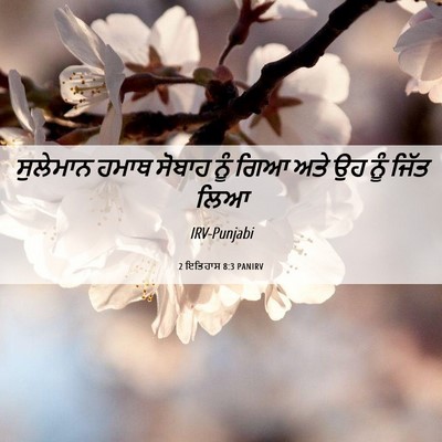 Picture 06 - 2 ਇਤਿਹਾਸ 8:3 PANIRV - ਸੁਲੇਮਾਨ ਹਮਾਥ - Bible Verse Picture