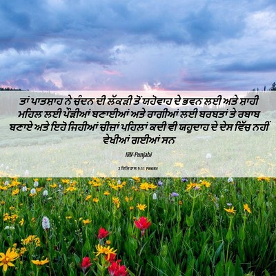 Picture 06 - 2 ਇਤਿਹਾਸ 9:11 PANIRV - ਤਾਂ ਪਾਤਸ਼ਾਹ ਨੇ - Bible Verse Picture