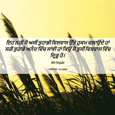Picture 06 - 2 ਕੁਰਿੰਥੀਆਂ 1:24 PANIRV - ਇਹ ਨਹੀਂ ਜੋ ਅਸੀਂ - Bible Verse Picture