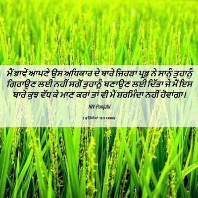 Picture 06 - 2 ਕੁਰਿੰਥੀਆਂ 10:8 PANIRV - ਮੈਂ ਭਾਵੇਂ ਆਪਣੇ ਉਸ - Bible Verse Picture