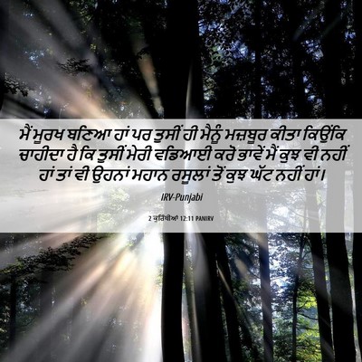 Picture 06 - 2 ਕੁਰਿੰਥੀਆਂ 12:11 PANIRV - ਮੈਂ ਮੂਰਖ ਬਣਿਆ ਹਾਂ - Bible Verse Picture