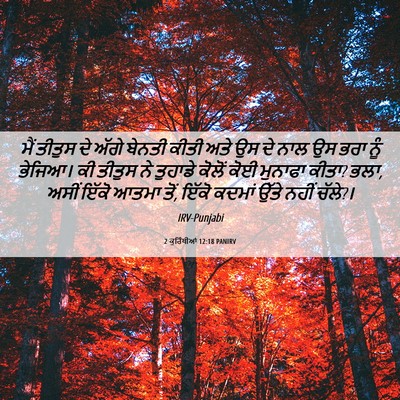 Picture 06 - 2 ਕੁਰਿੰਥੀਆਂ 12:18 PANIRV - ਮੈਂ ਤੀਤੁਸ ਦੇ ਅੱਗੇ - Bible Verse Picture