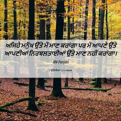 Picture 06 - 2 ਕੁਰਿੰਥੀਆਂ 12:5 PANIRV - ਅਜਿਹੇ ਮਨੁੱਖ ਉੱਤੇ - Bible Verse Picture
