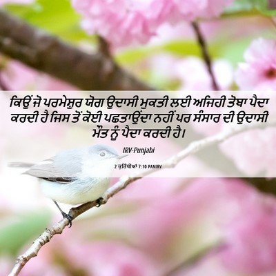 Picture 06 - 2 ਕੁਰਿੰਥੀਆਂ 7:10 PANIRV - ਕਿਉਂ ਜੋ ਪਰਮੇਸ਼ੁਰ - Bible Verse Picture