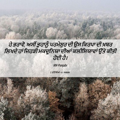 Picture 06 - 2 ਕੁਰਿੰਥੀਆਂ 8:1 PANIRV - ਹੇ ਭਰਾਵੋ, ਅਸੀਂ - Bible Verse Picture