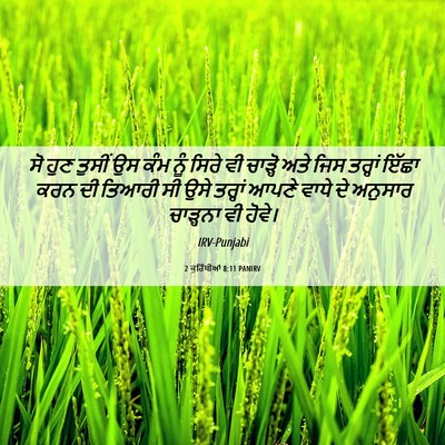 Picture 06 - 2 ਕੁਰਿੰਥੀਆਂ 8:11 PANIRV - ਸੋ ਹੁਣ ਤੁਸੀਂ ਉਸ ਕੰਮ - Bible Verse Picture