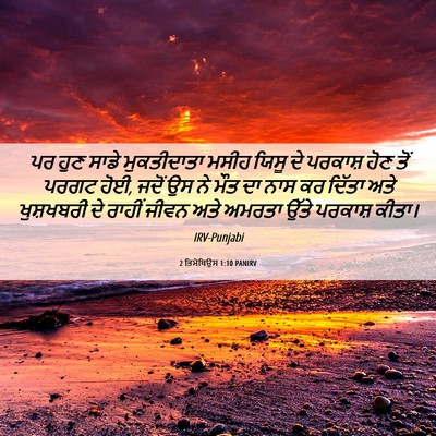 Picture 06 - 2 ਤਿਮੋਥਿਉਸ 1:10 PANIRV - ਪਰ ਹੁਣ ਸਾਡੇ - Bible Verse Picture