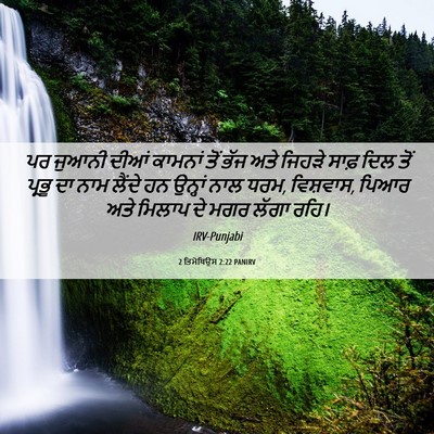 Picture 06 - 2 ਤਿਮੋਥਿਉਸ 2:22 PANIRV - ਪਰ ਜੁਆਨੀ ਦੀਆਂ - Bible Verse Picture