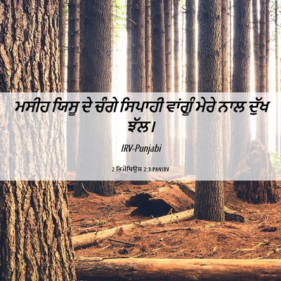 Picture 06 - 2 ਤਿਮੋਥਿਉਸ 2:3 PANIRV - ਮਸੀਹ ਯਿਸੂ ਦੇ ਚੰਗੇ - Bible Verse Picture