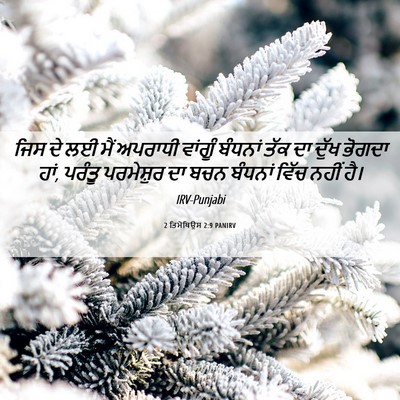 Picture 06 - 2 ਤਿਮੋਥਿਉਸ 2:9 PANIRV - ਜਿਸ ਦੇ ਲਈ ਮੈਂ - Bible Verse Picture