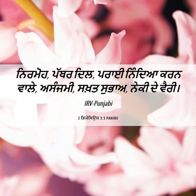 Picture 06 - 2 ਤਿਮੋਥਿਉਸ 3:3 PANIRV - ਨਿਰਮੋਹ, ਪੱਥਰ ਦਿਲ, - Bible Verse Picture