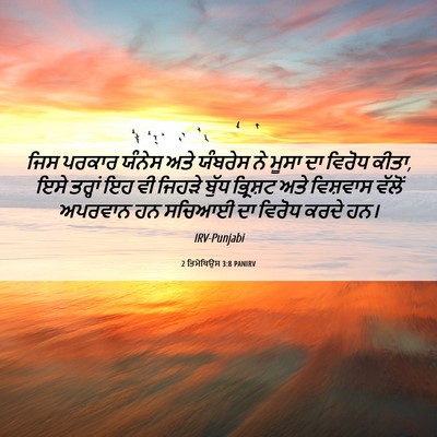 Picture 06 - 2 ਤਿਮੋਥਿਉਸ 3:8 PANIRV - ਜਿਸ ਪਰਕਾਰ ਯੰਨੇਸ - Bible Verse Picture