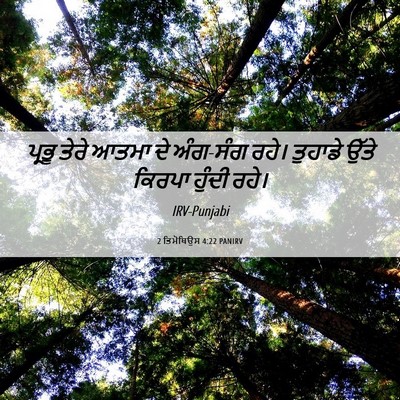 Picture 06 - 2 ਤਿਮੋਥਿਉਸ 4:22 PANIRV - ਪ੍ਰਭੂ ਤੇਰੇ ਆਤਮਾ ਦੇ - Bible Verse Picture