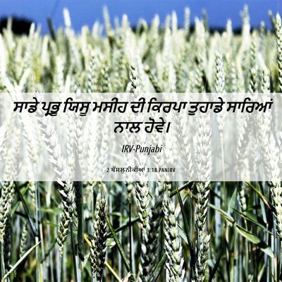 Picture 06 - 2 ਥੱਸਲੁਨੀਕੀਆਂ 3:18 PANIRV - ਸਾਡੇ ਪ੍ਰਭੂ ਯਿਸੂ - Bible Verse Picture