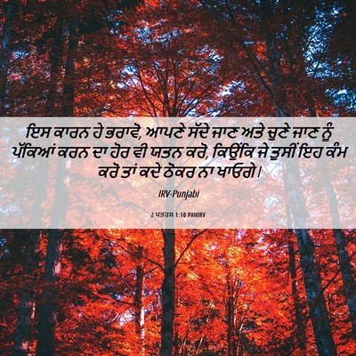 Picture 06 - 2 ਪਤਰਸ 1:10 PANIRV - ਇਸ ਕਾਰਨ ਹੇ ਭਰਾਵੋ, - Bible Verse Picture