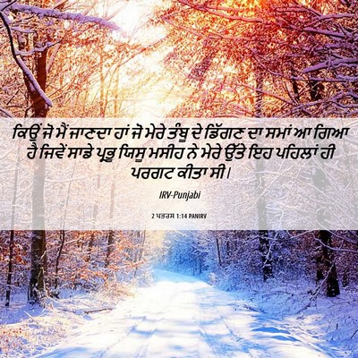 Picture 06 - 2 ਪਤਰਸ 1:14 PANIRV - ਕਿਉਂ ਜੋ ਮੈਂ ਜਾਣਦਾ - Bible Verse Picture