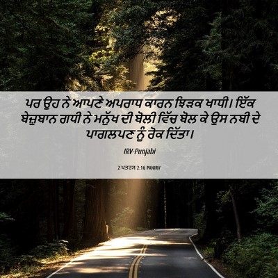 Picture 06 - 2 ਪਤਰਸ 2:16 PANIRV - ਪਰ ਉਹ ਨੇ ਆਪਣੇ ਅਪਰਾਧ - Bible Verse Picture