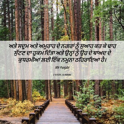 Picture 06 - 2 ਪਤਰਸ 2:6 PANIRV - ਅਤੇ ਸਦੂਮ ਅਤੇ - Bible Verse Picture