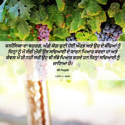 Picture 06 - 2 ਯੂਹੰਨਾ 1:1 PANIRV - ਕਲੀਸਿਯਾ ਦਾ ਬਜ਼ੁਰਗ, - Bible Verse Picture