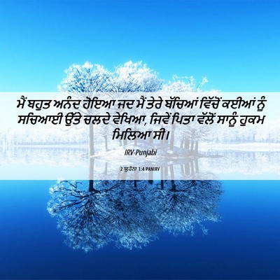 Picture 06 - 2 ਯੂਹੰਨਾ 1:4 PANIRV - ਮੈਂ ਬਹੁਤ ਅਨੰਦ ਹੋਇਆ - Bible Verse Picture