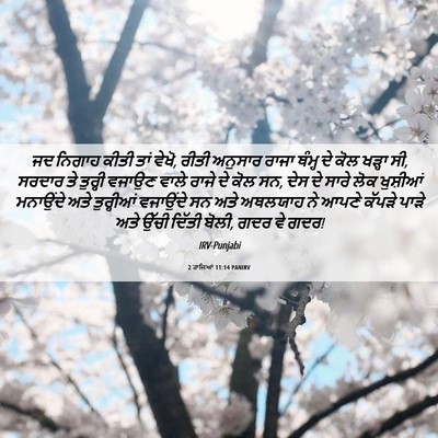 Picture 06 - 2 ਰਾਜਿਆਂ 11:14 PANIRV - ਜਦ ਨਿਗਾਹ ਕੀਤੀ ਤਾਂ - Bible Verse Picture