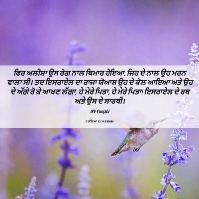 Picture 06 - 2 ਰਾਜਿਆਂ 13:14 PANIRV - ਫਿਰ ਅਲੀਸ਼ਾ ਉਸ ਰੋਗ - Bible Verse Picture