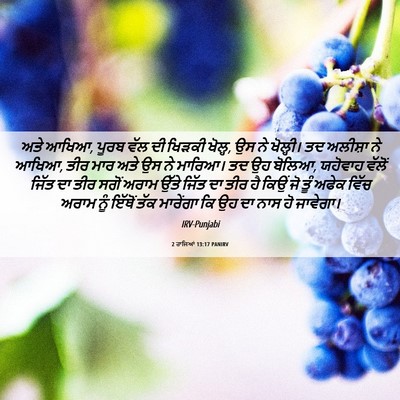 Picture 06 - 2 ਰਾਜਿਆਂ 13:17 PANIRV - ਅਤੇ ਆਖਿਆ, ਪੂਰਬ ਵੱਲ - Bible Verse Picture