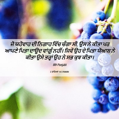 Picture 06 - 2 ਰਾਜਿਆਂ 14:3 PANIRV - ਜੋ ਯਹੋਵਾਹ ਦੀ ਨਿਗਾਹ - Bible Verse Picture