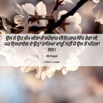 Picture 06 - 2 ਰਾਜਿਆਂ 17:2 PANIRV - ਉਸ ਨੇ ਉਹ ਕੰਮ ਕੀਤਾ - Bible Verse Picture