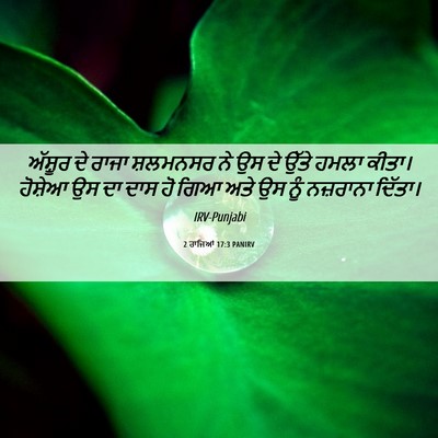 Picture 06 - 2 ਰਾਜਿਆਂ 17:3 PANIRV - ਅੱਸ਼ੂਰ ਦੇ ਰਾਜਾ - Bible Verse Picture