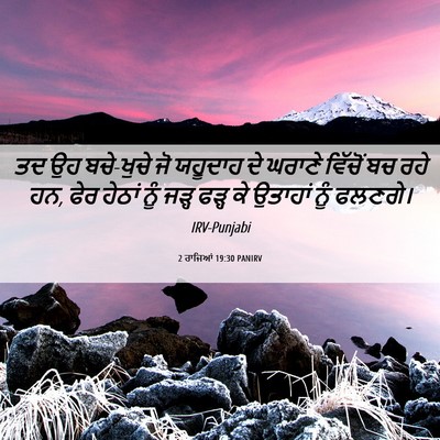 Picture 06 - 2 ਰਾਜਿਆਂ 19:30 PANIRV - ਤਦ ਉਹ ਬਚੇ-ਖੁਚੇ ਜੋ - Bible Verse Picture