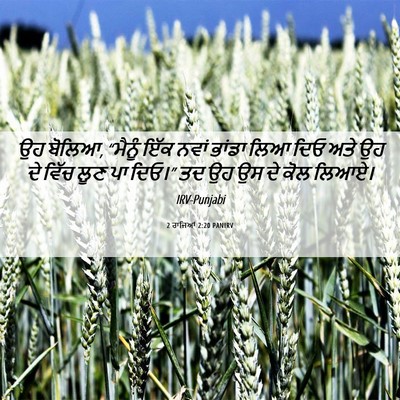 Picture 06 - 2 ਰਾਜਿਆਂ 2:20 PANIRV - ਉਹ ਬੋਲਿਆ, “ਮੈਨੂੰ - Bible Verse Picture