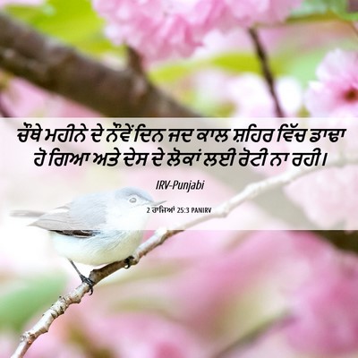 Picture 06 - 2 ਰਾਜਿਆਂ 25:3 PANIRV - ਚੌਥੇ ਮਹੀਨੇ ਦੇ - Bible Verse Picture