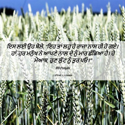 Picture 06 - 2 ਰਾਜਿਆਂ 3:23 PANIRV - ਇਸ ਲਈ ਉਹ ਬੋਲੇ, “ਇਹ - Bible Verse Picture