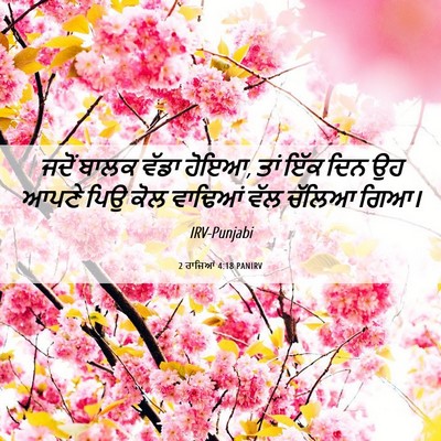 Picture 06 - 2 ਰਾਜਿਆਂ 4:18 PANIRV - ਜਦੋਂ ਬਾਲਕ ਵੱਡਾ - Bible Verse Picture