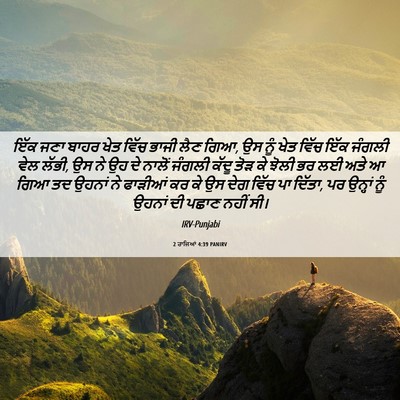 Picture 06 - 2 ਰਾਜਿਆਂ 4:39 PANIRV - ਇੱਕ ਜਣਾ ਬਾਹਰ ਖੇਤ - Bible Verse Picture